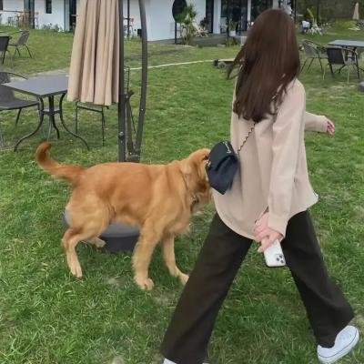 半生不熟